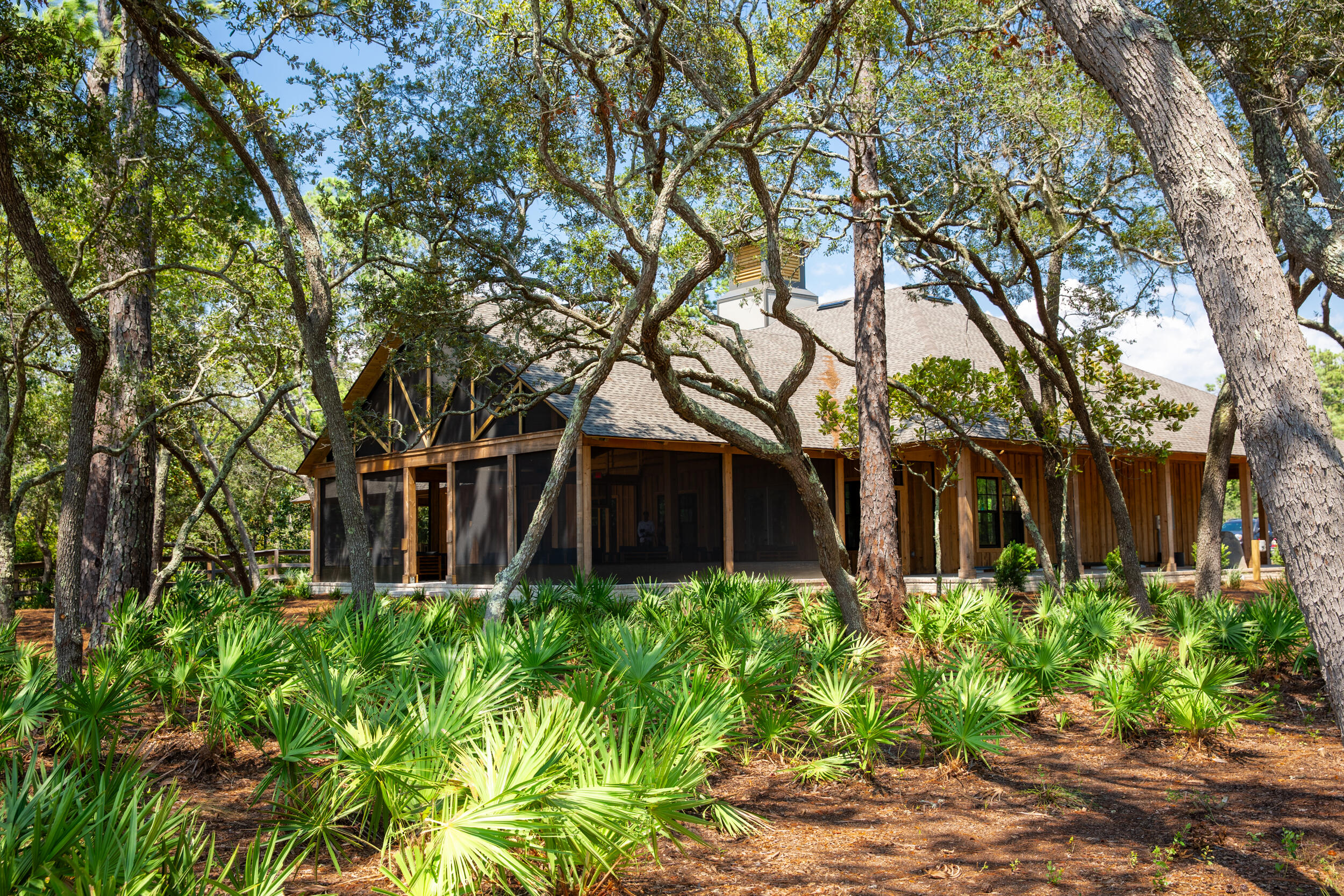 71 Clermont Cove Freeport, FL 32439 - Photo 55 of 73 a pathway of a house with potted plants and large trees