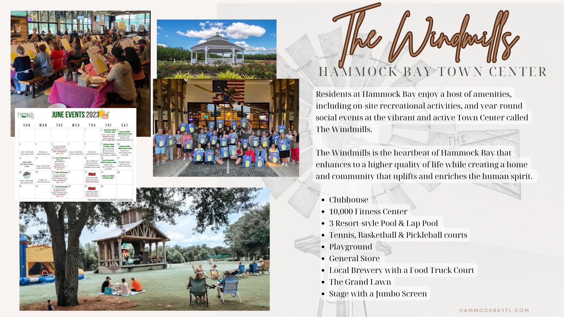 71 Clermont Cove Freeport, FL 32439 - Photo 71 of 73 The Windmill at Hammock Bay