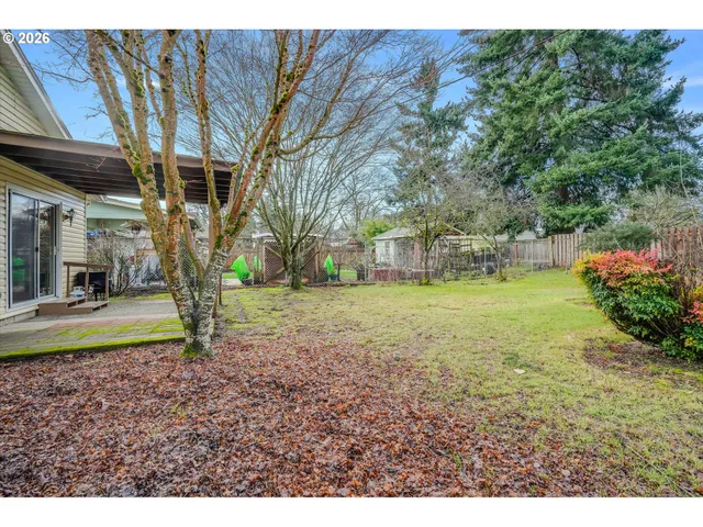 a view of a backyard with large trees