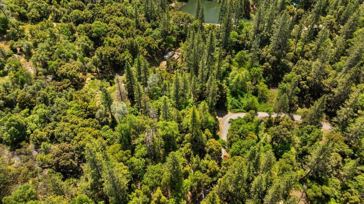 12921 Slate Creek Road Nevada City, CA 95959 - Photo 11 of 41 a view of a lush green forest