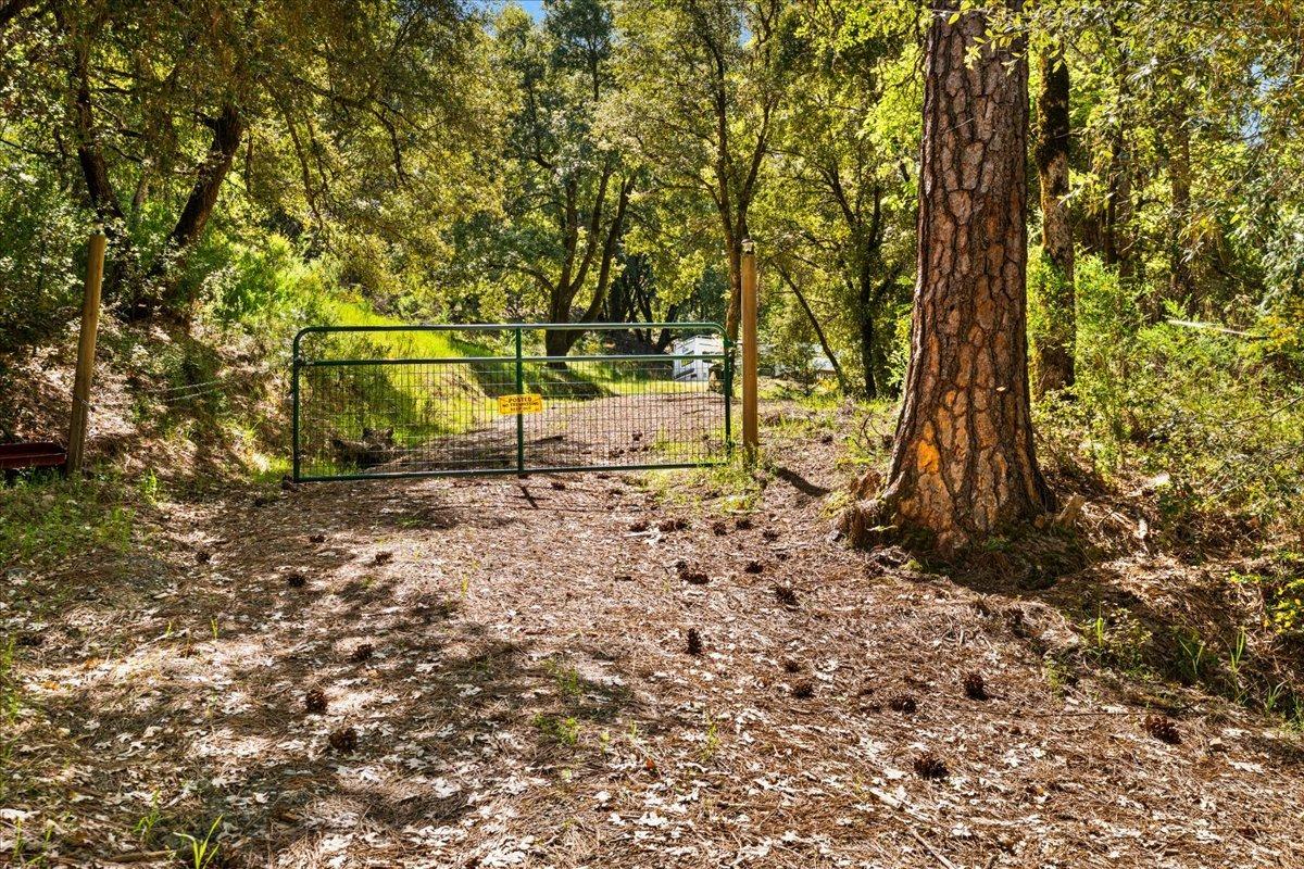 12921 Slate Creek Road Nevada City, CA 95959 - Photo 19 of 41 a backyard of a house with lots of green space