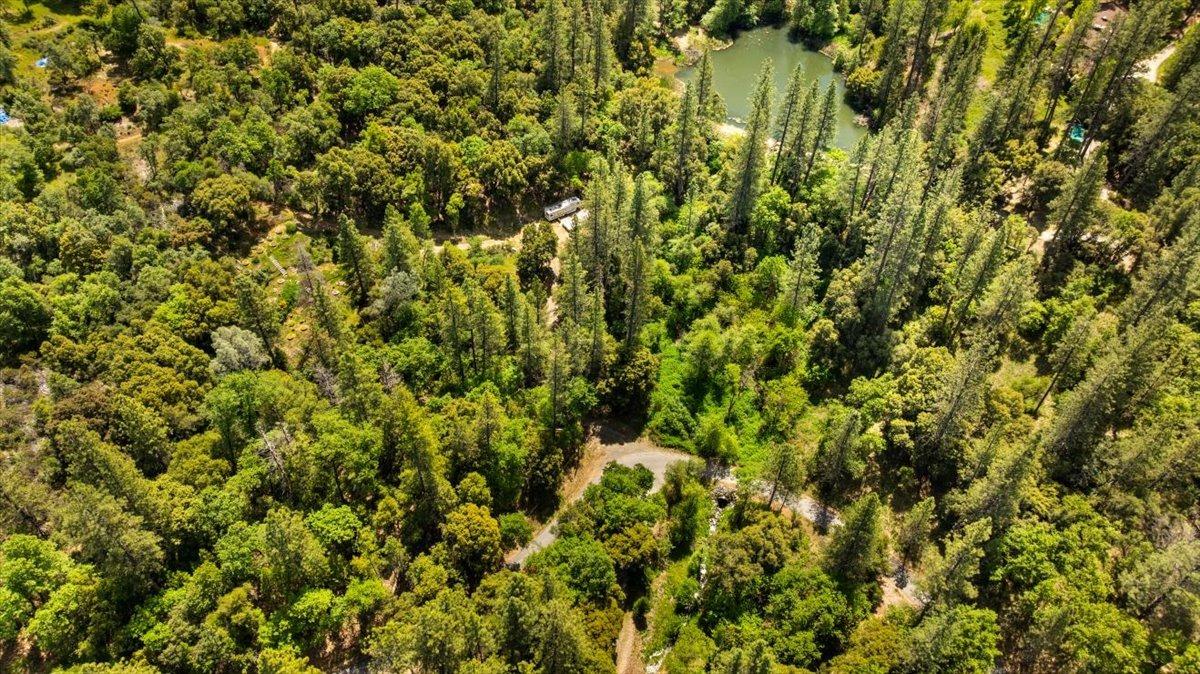 12921 Slate Creek Road Nevada City, CA 95959 - Photo 25 of 41 a view of a lush green field