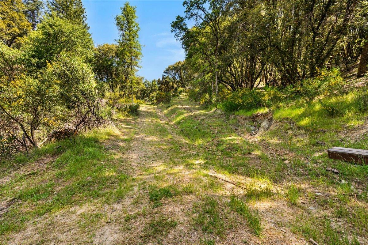 12921 Slate Creek Road Nevada City, CA 95959 - Photo 30 of 41 a view of a big yard with plants and large trees