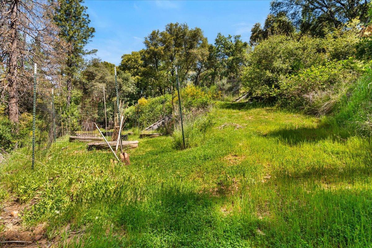 12921 Slate Creek Road Nevada City, CA 95959 - Photo 31 of 41 a view of a yard with a tree