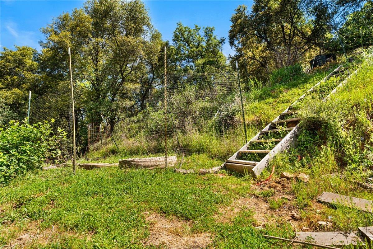 12921 Slate Creek Road Nevada City, CA 95959 - Photo 33 of 41 a backyard of a house with lots of green space