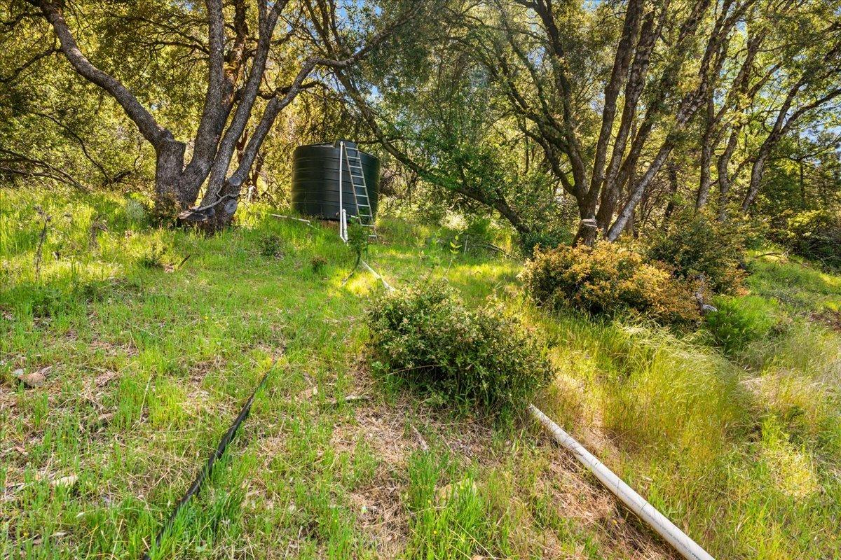 12921 Slate Creek Road Nevada City, CA 95959 - Photo 34 of 41 a backyard of a house with lots of green space