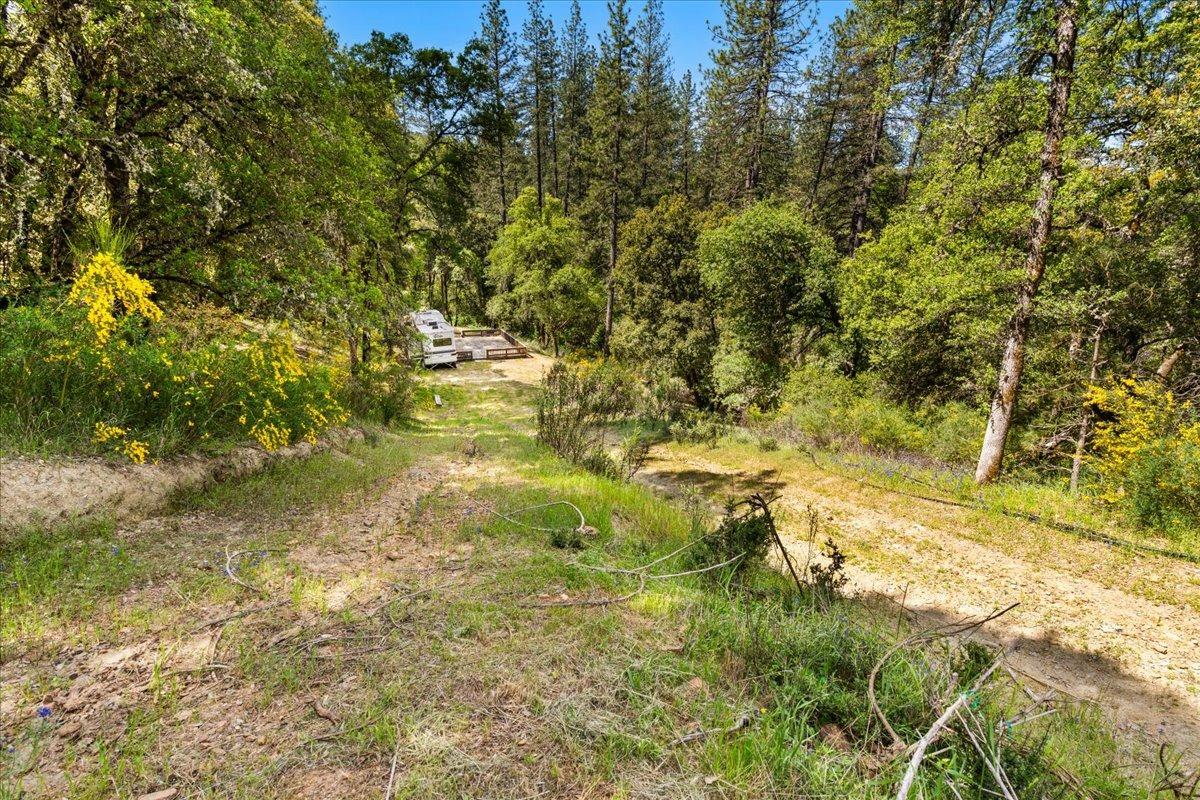 12921 Slate Creek Road Nevada City, CA 95959 - Photo 36 of 41 a view of yard with green space