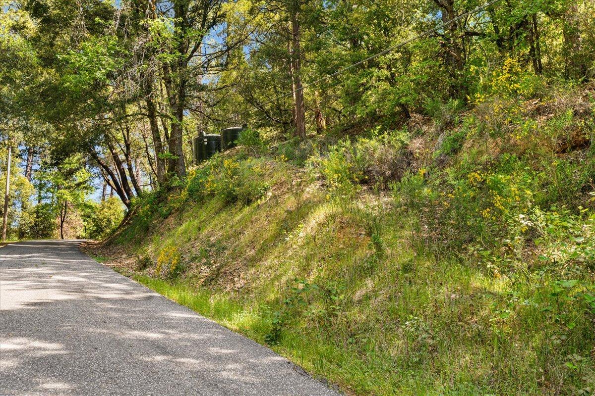 12921 Slate Creek Road Nevada City, CA 95959 - Photo 37 of 41 a view of a yard with plants and trees