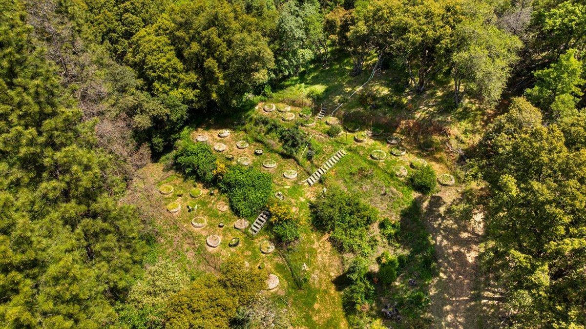 12921 Slate Creek Road Nevada City, CA 95959 - Photo 5 of 41 a view of a tree in a yard