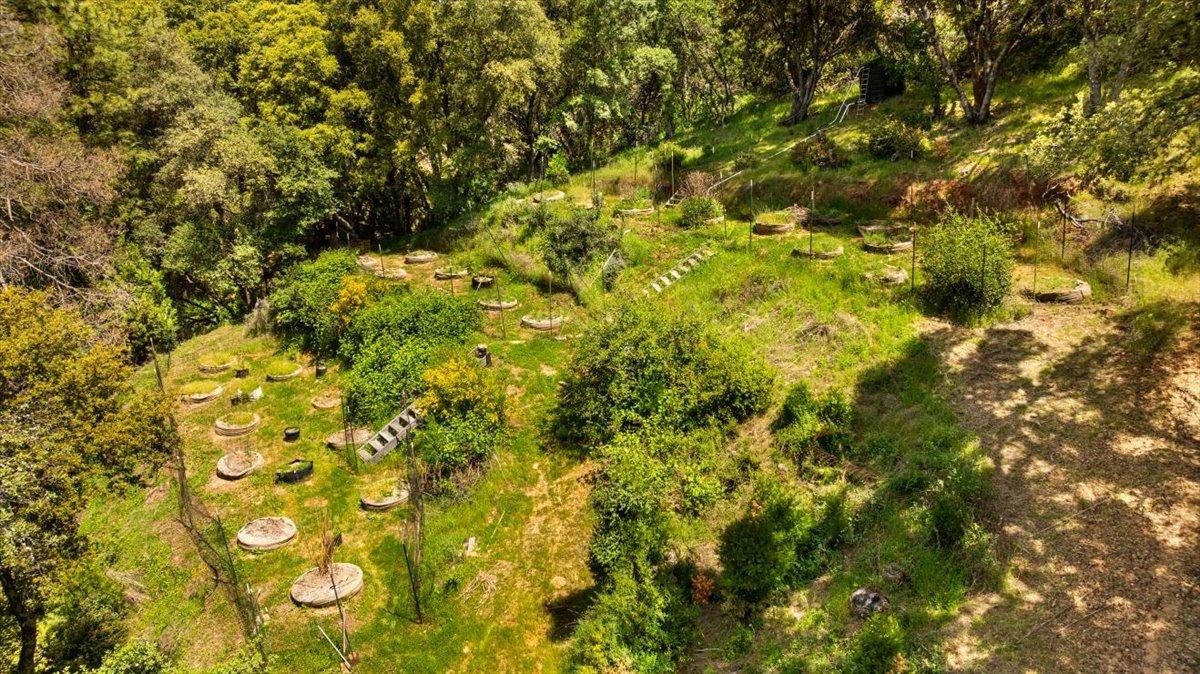 12921 Slate Creek Road Nevada City, CA 95959 - Photo 6 of 41 a view of a tree with a tree