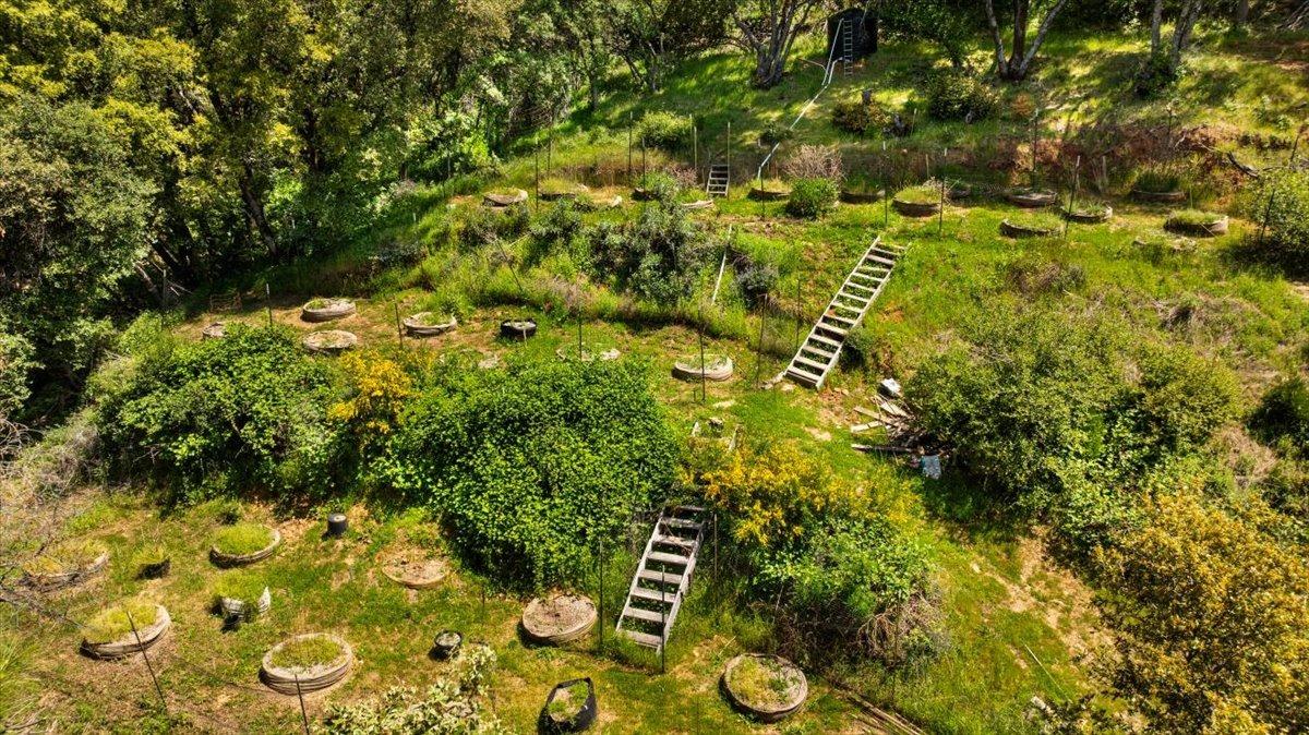 12921 Slate Creek Road Nevada City, CA 95959 - Photo 7 of 41 a view of yard with green space