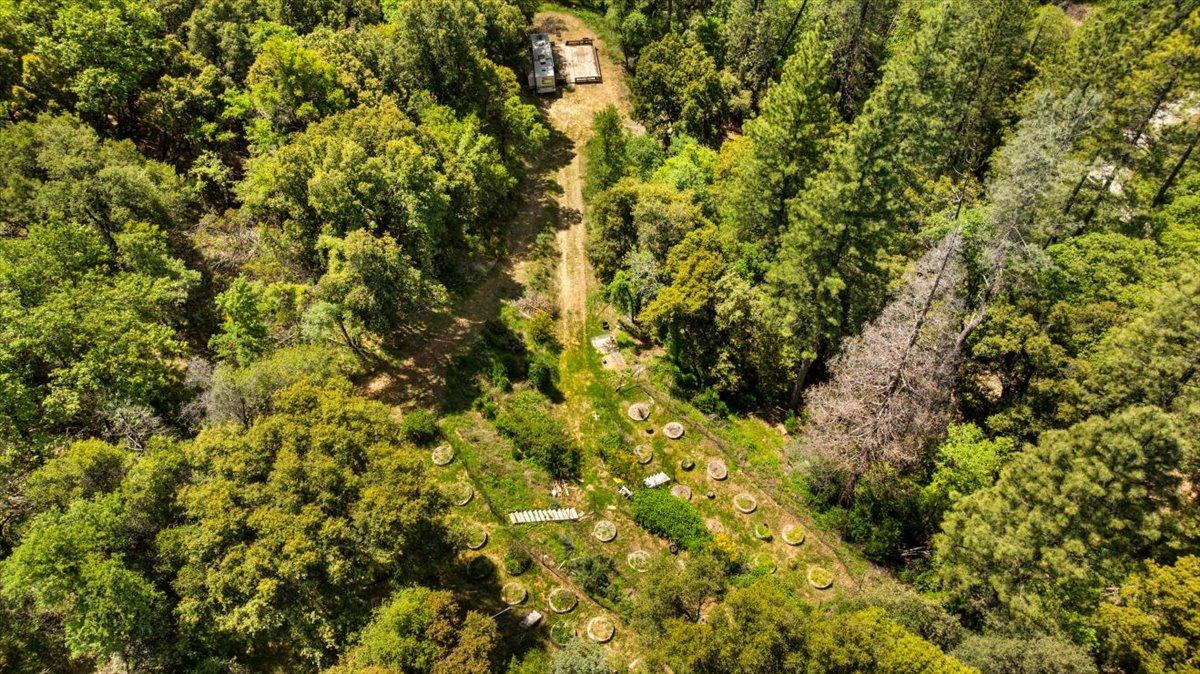 12921 Slate Creek Road Nevada City, CA 95959 - Photo 8 of 41 a view of a lush green field