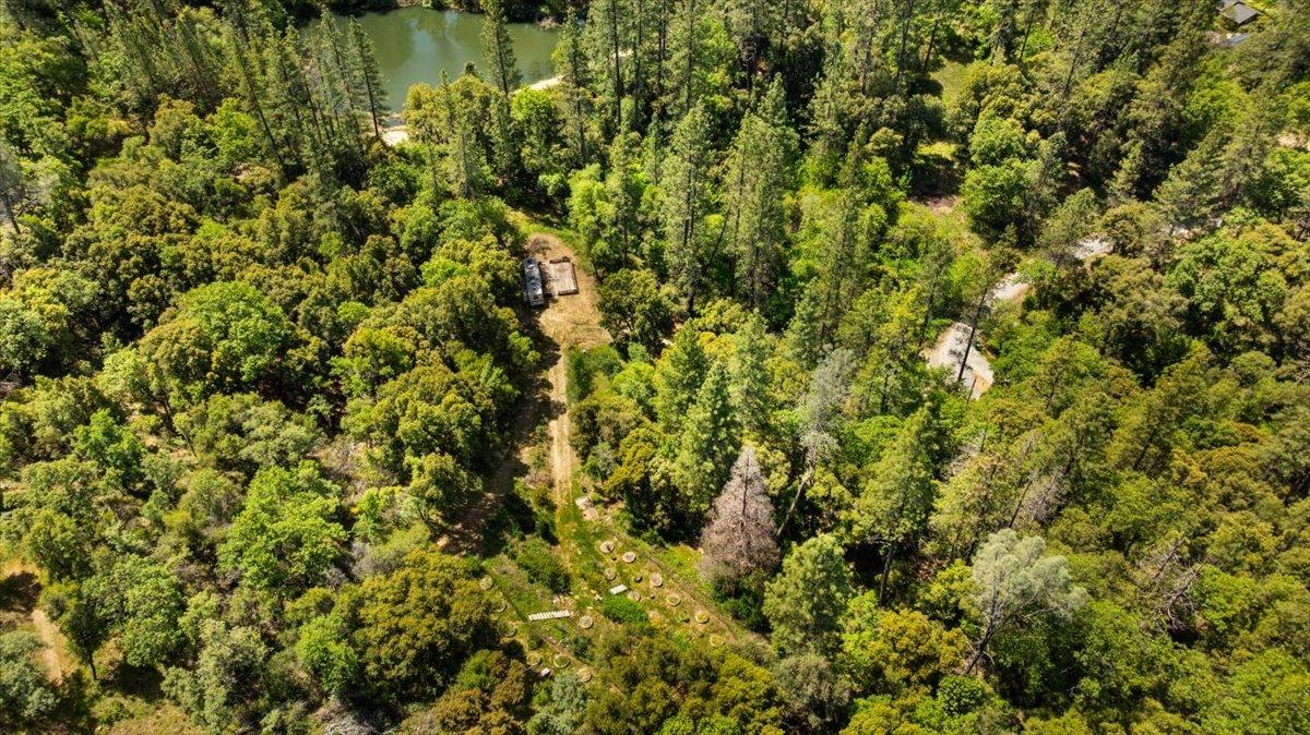 12921 Slate Creek Road Nevada City, CA 95959 - Photo 9 of 41 a view of a bunch of trees