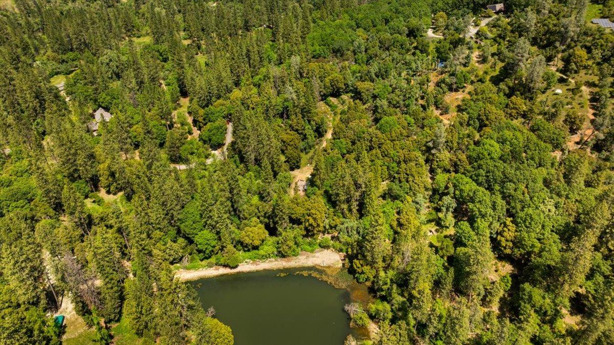 12921 Slate Creek Road Nevada City, CA 95959 - Photo 10 of 41 a view of a yard with a tree