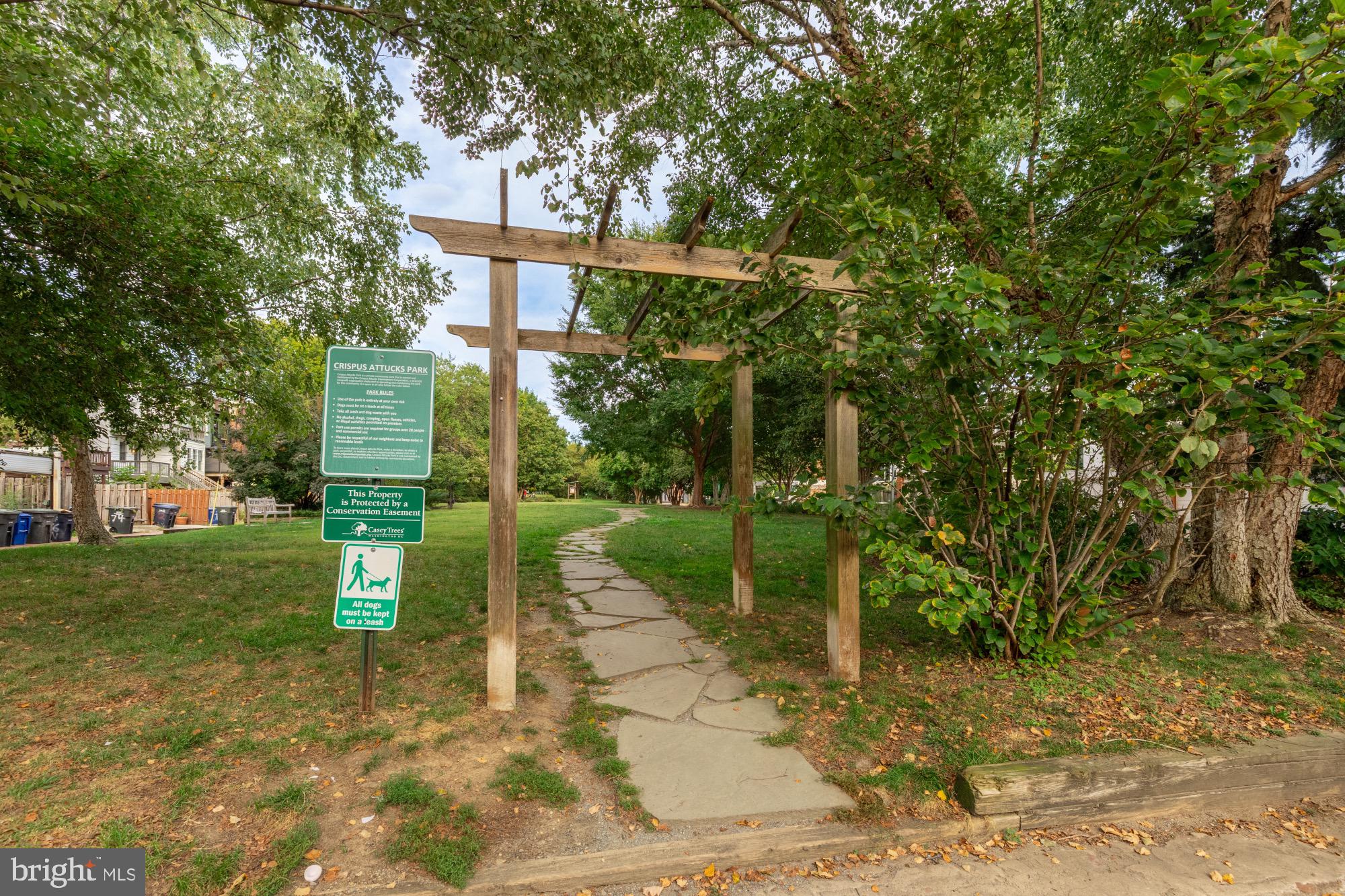 54 W Street Northwest Washington, DC 20001 - Photo 57 of 68 Welcoming path through lush greenery.