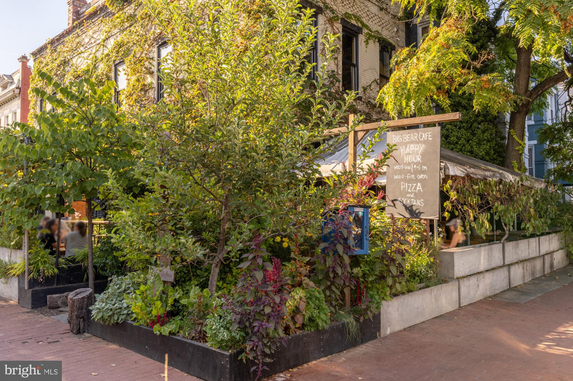 54 W Street Northwest Washington, DC 20001 - Photo 65 of 68 Charming eatery embraced by lush greenery.