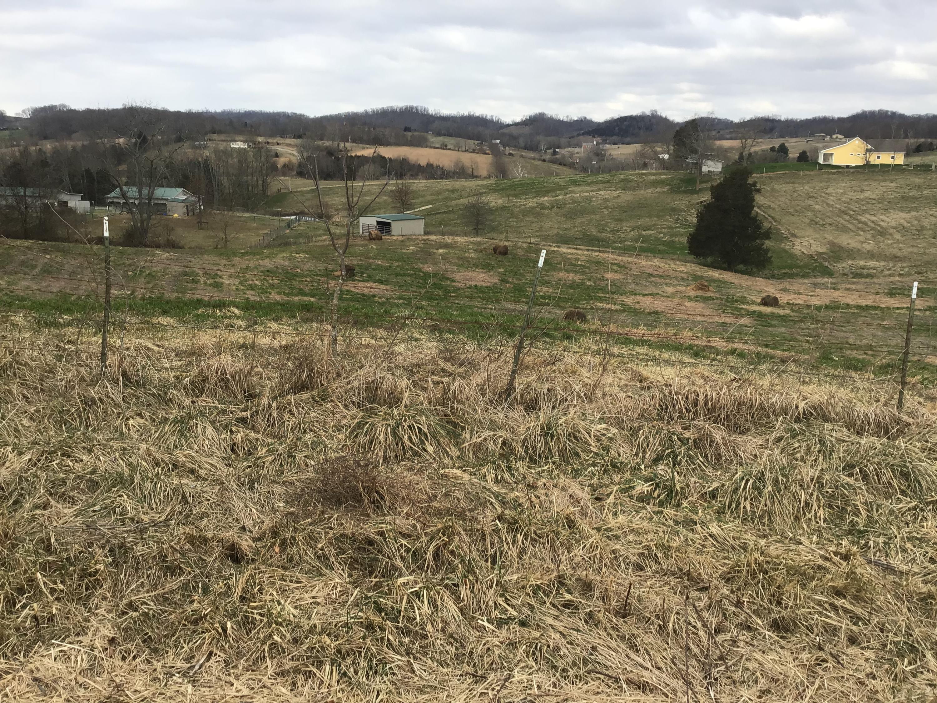 Lot 27 Milburnton Road, Unit 27 Limestone, TN 37681 - Photo 11 of 26 8CA3B9EF-0869-412B-83C3-88FEF5EC12C0