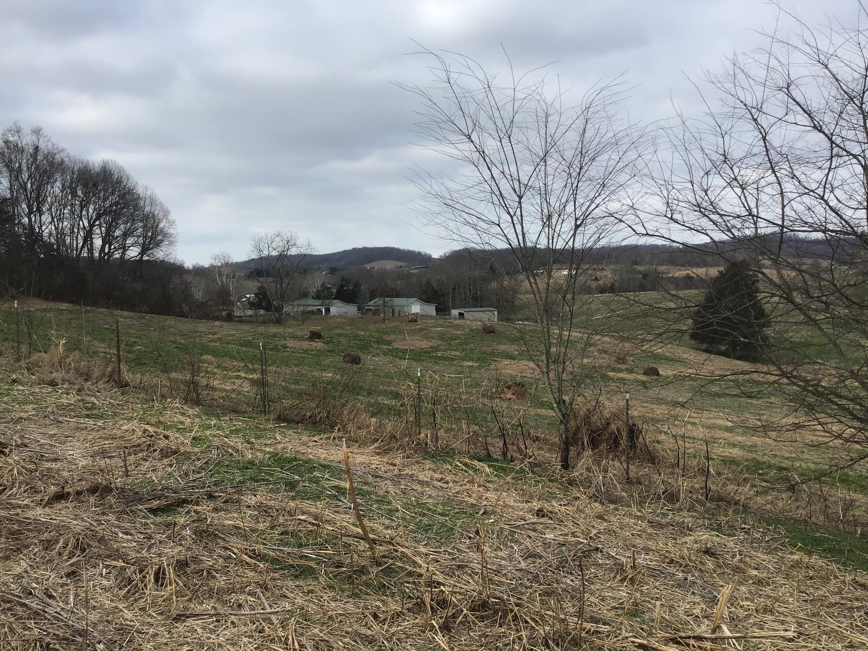 Lot 27 Milburnton Road, Unit 27 Limestone, TN 37681 - Photo 14 of 26 41C8C6AC-8849-4F55-A0F8-0DBCAA21B001