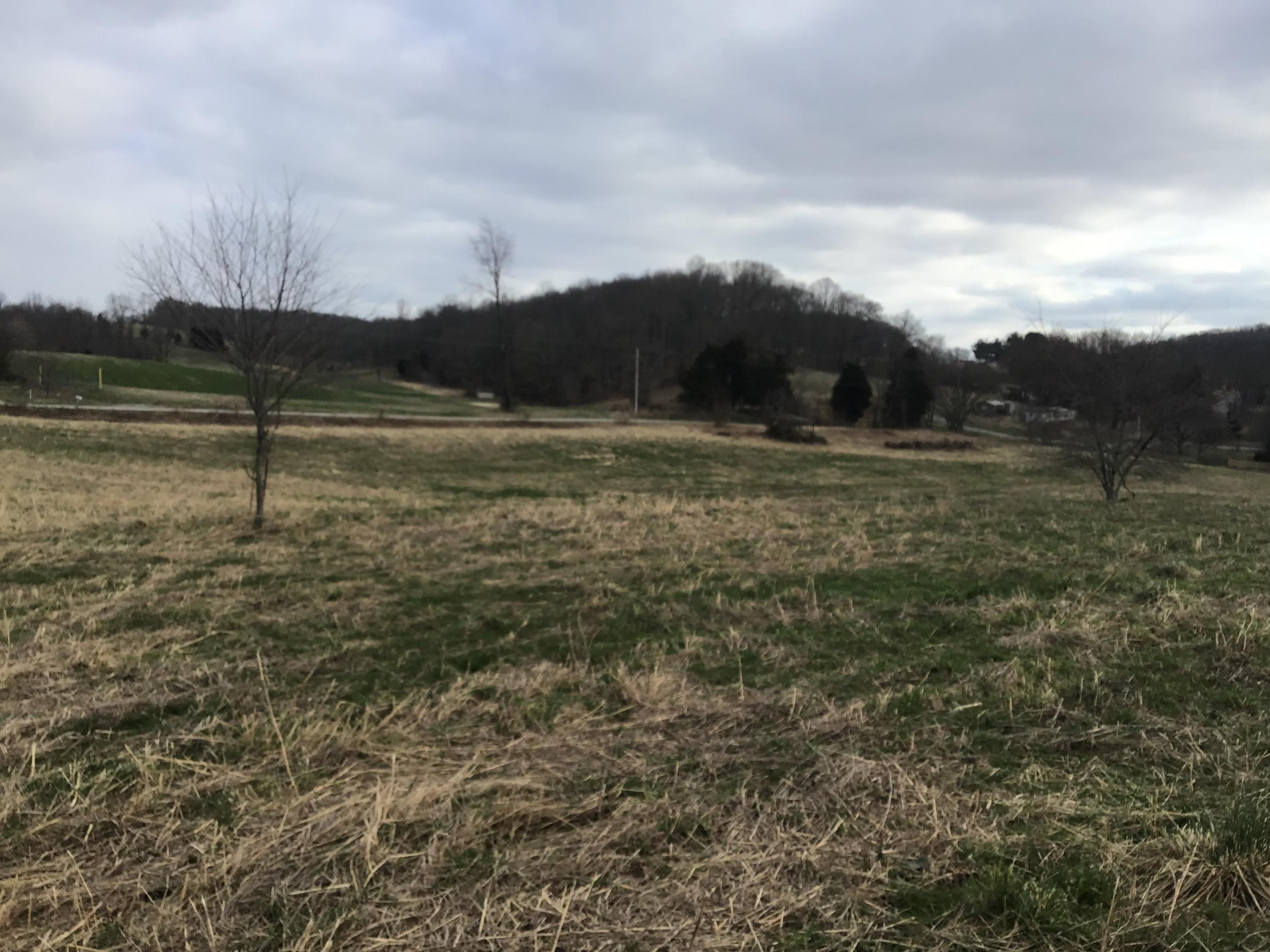 Lot 27 Milburnton Road, Unit 27 Limestone, TN 37681 - Photo 18 of 26 33A2054D-0A20-4F15-878F-14F3EC526321