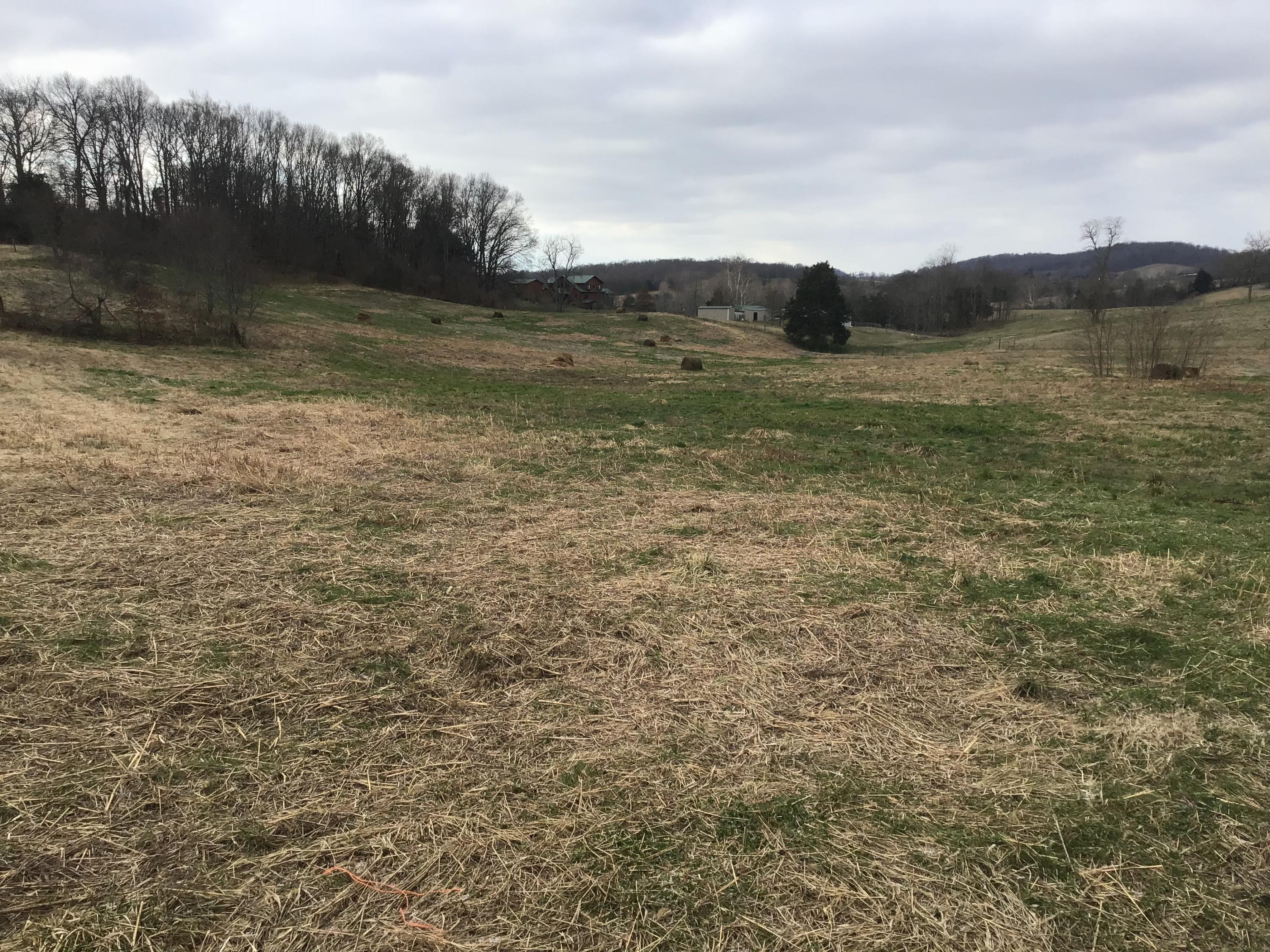 Lot 27 Milburnton Road, Unit 27 Limestone, TN 37681 - Photo 19 of 26 83C81B25-711F-4E4D-8597-E1CF4F6DB62F