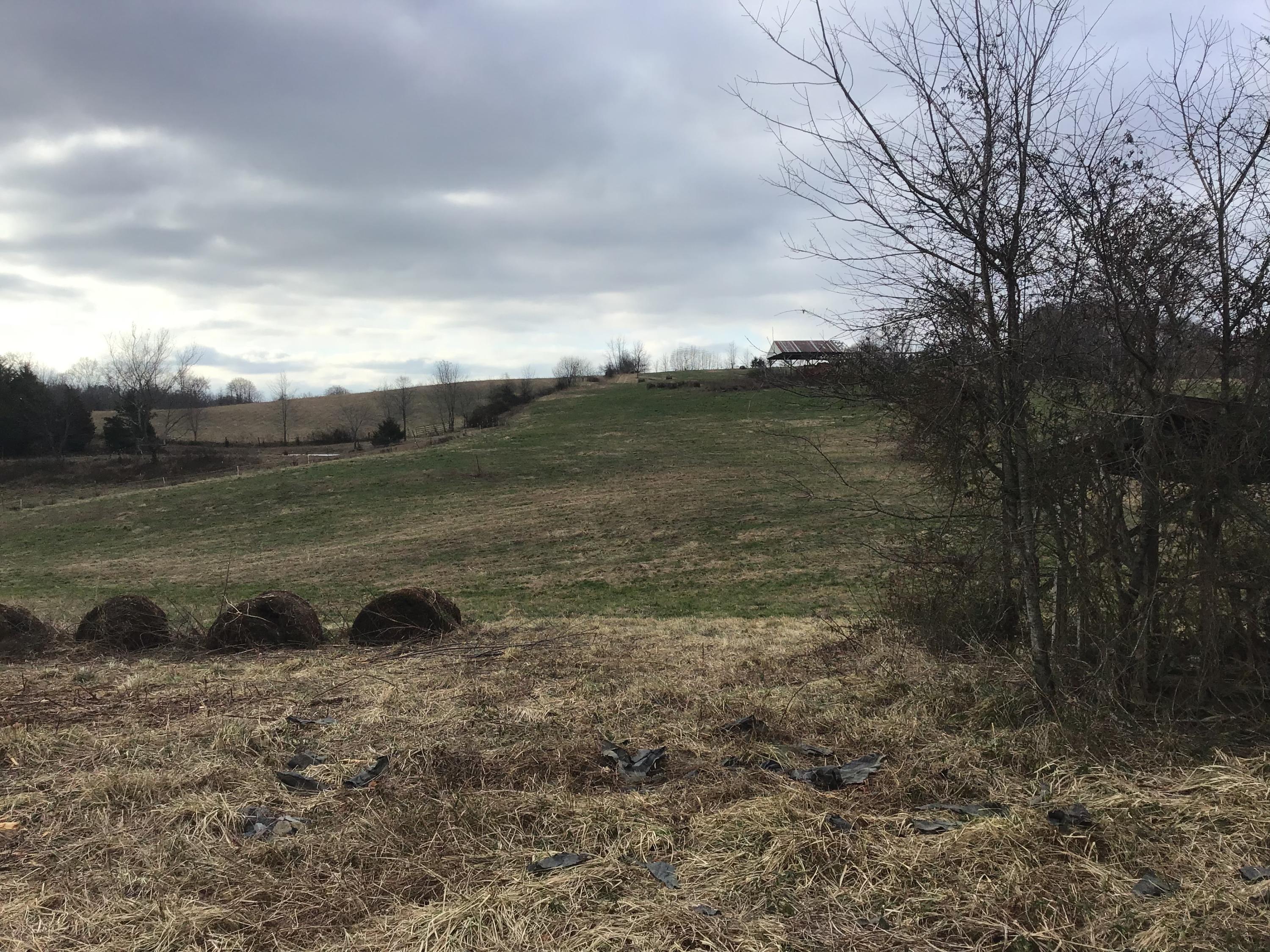 Lot 27 Milburnton Road, Unit 27 Limestone, TN 37681 - Photo 23 of 26 AA7FAAB5-E5C6-4F16-8B8F-F65BD7E84B62