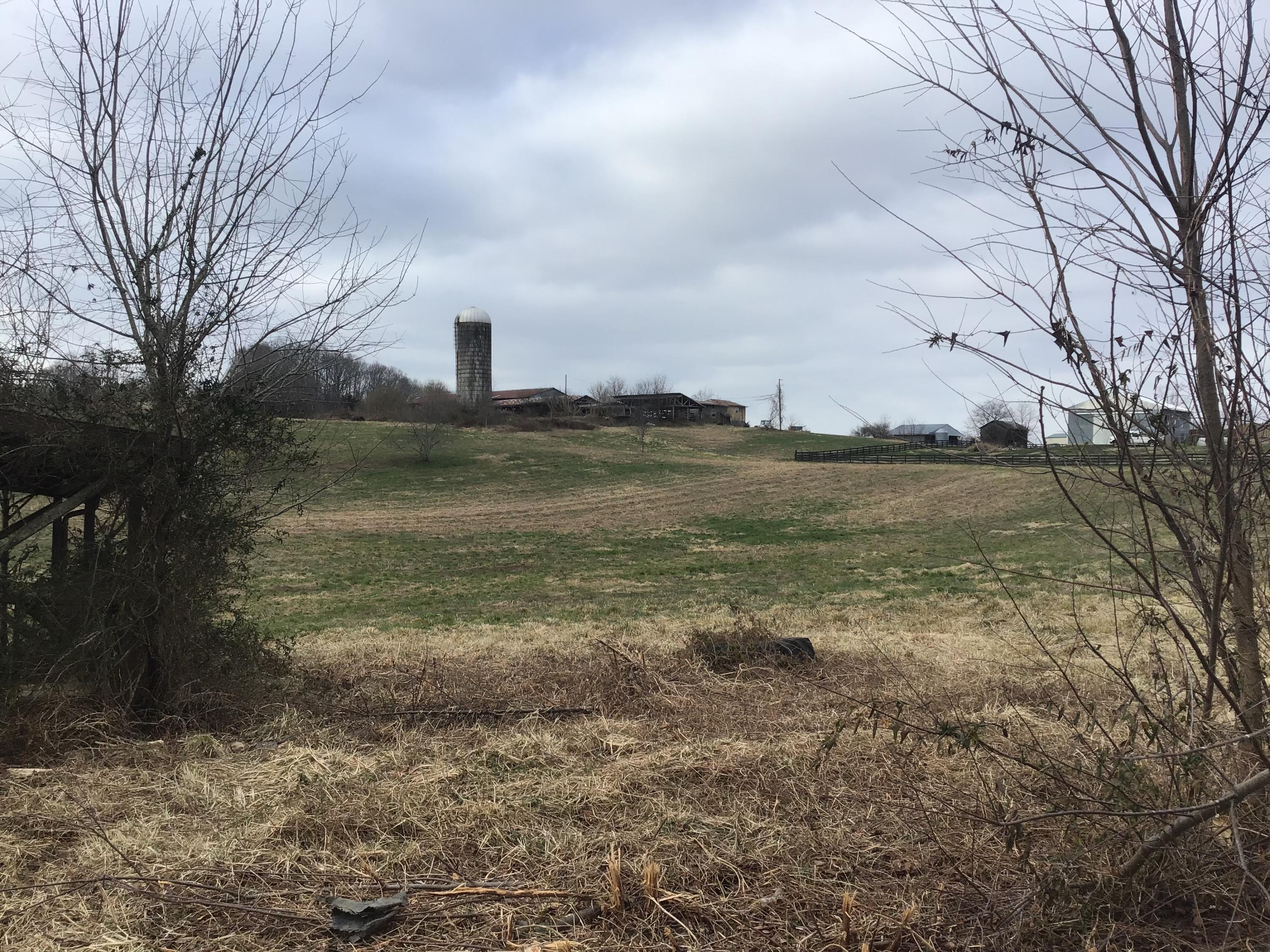 Lot 27 Milburnton Road, Unit 27 Limestone, TN 37681 - Photo 24 of 26 25E338A3-46EC-4427-A1E6-0CDE286C3679