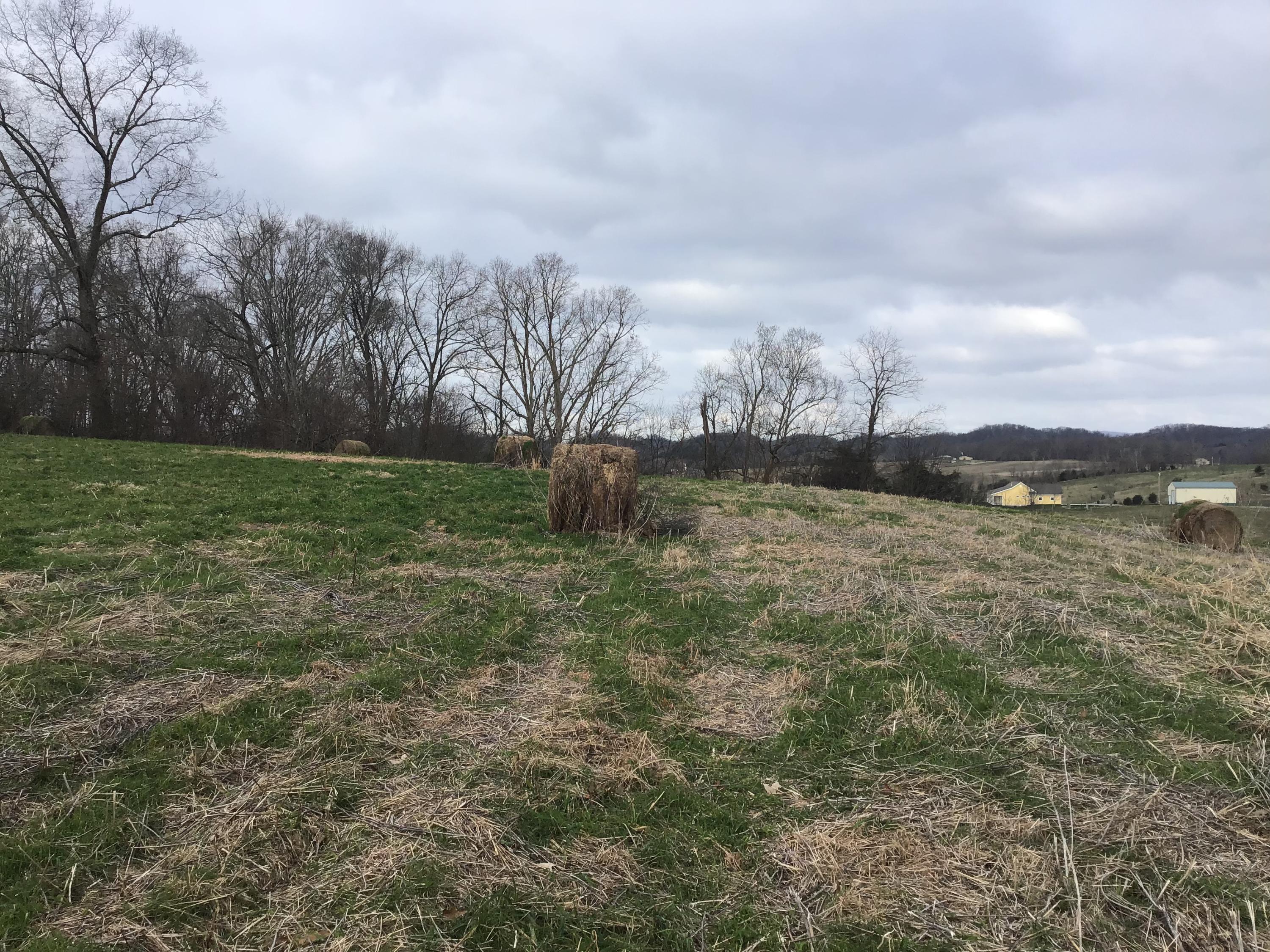 Lot 27 Milburnton Road, Unit 27 Limestone, TN 37681 - Photo 3 of 26 B7FEA8F0-045D-464D-88E3-52CB7BE06CF6