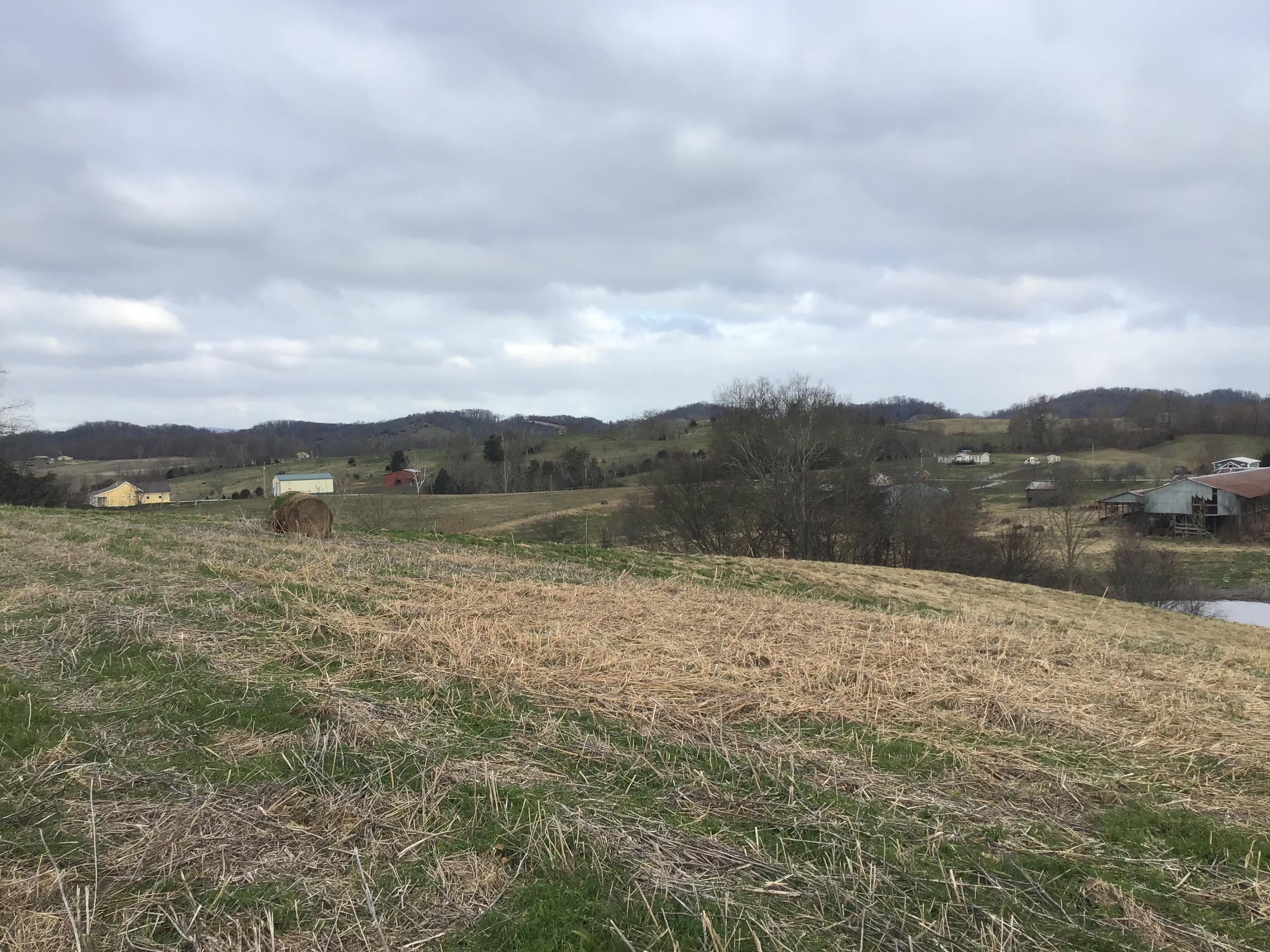 Lot 27 Milburnton Road, Unit 27 Limestone, TN 37681 - Photo 4 of 26 61C59149-0B90-4761-AC9A-155FF45A58D1