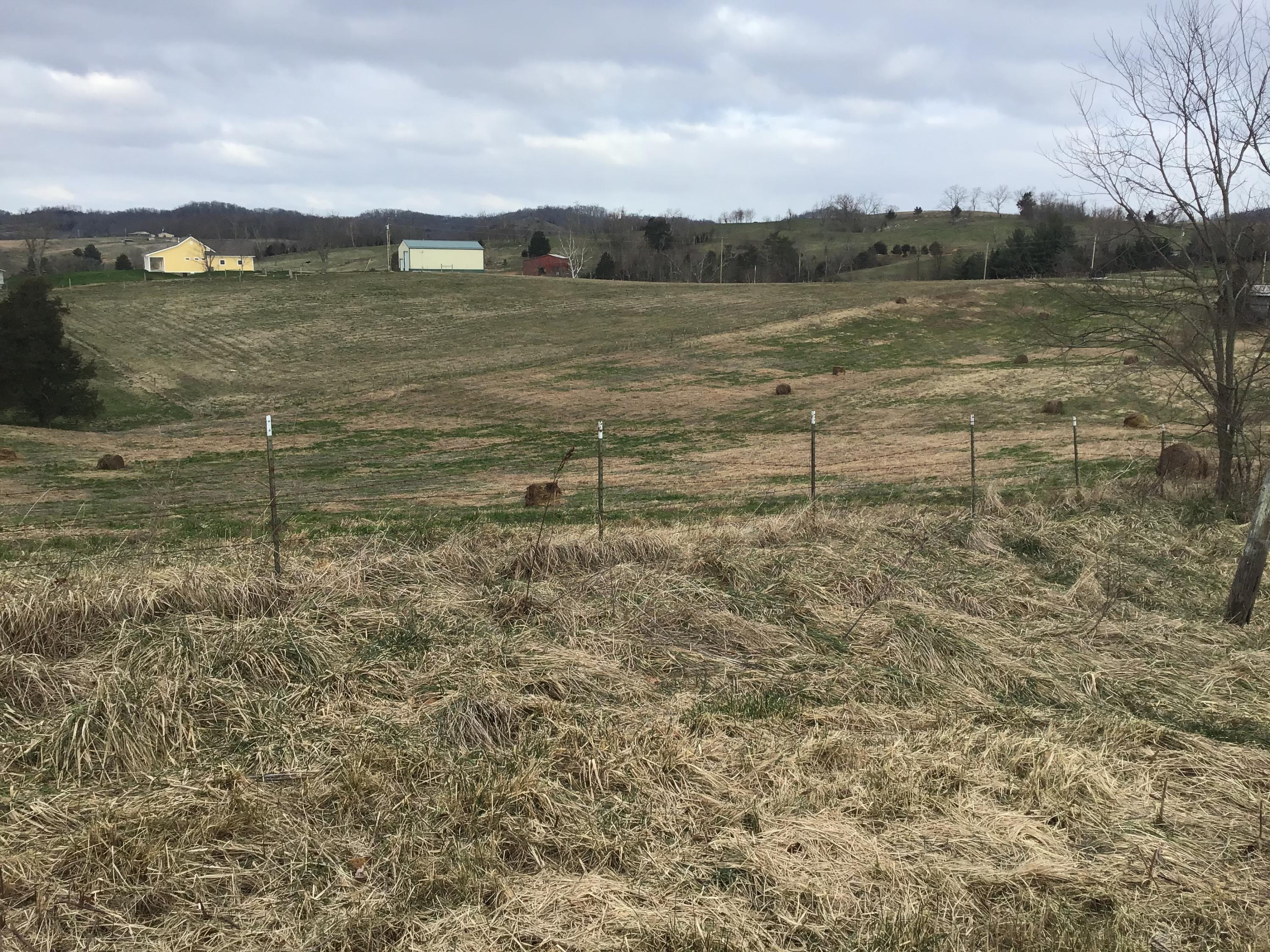 Lot 27 Milburnton Road, Unit 27 Limestone, TN 37681 - Photo 10 of 26 D0CCAF4B-6F86-416A-B10E-002CEC15F0C1