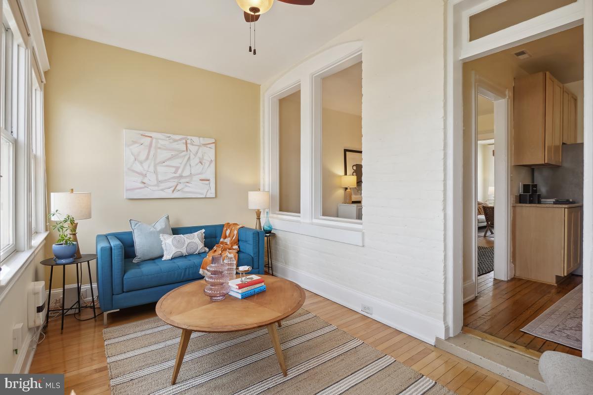 514 15th Street Southeast Washington, DC 20003 - Photo 16 of 36 a living room with furniture and a potted plant