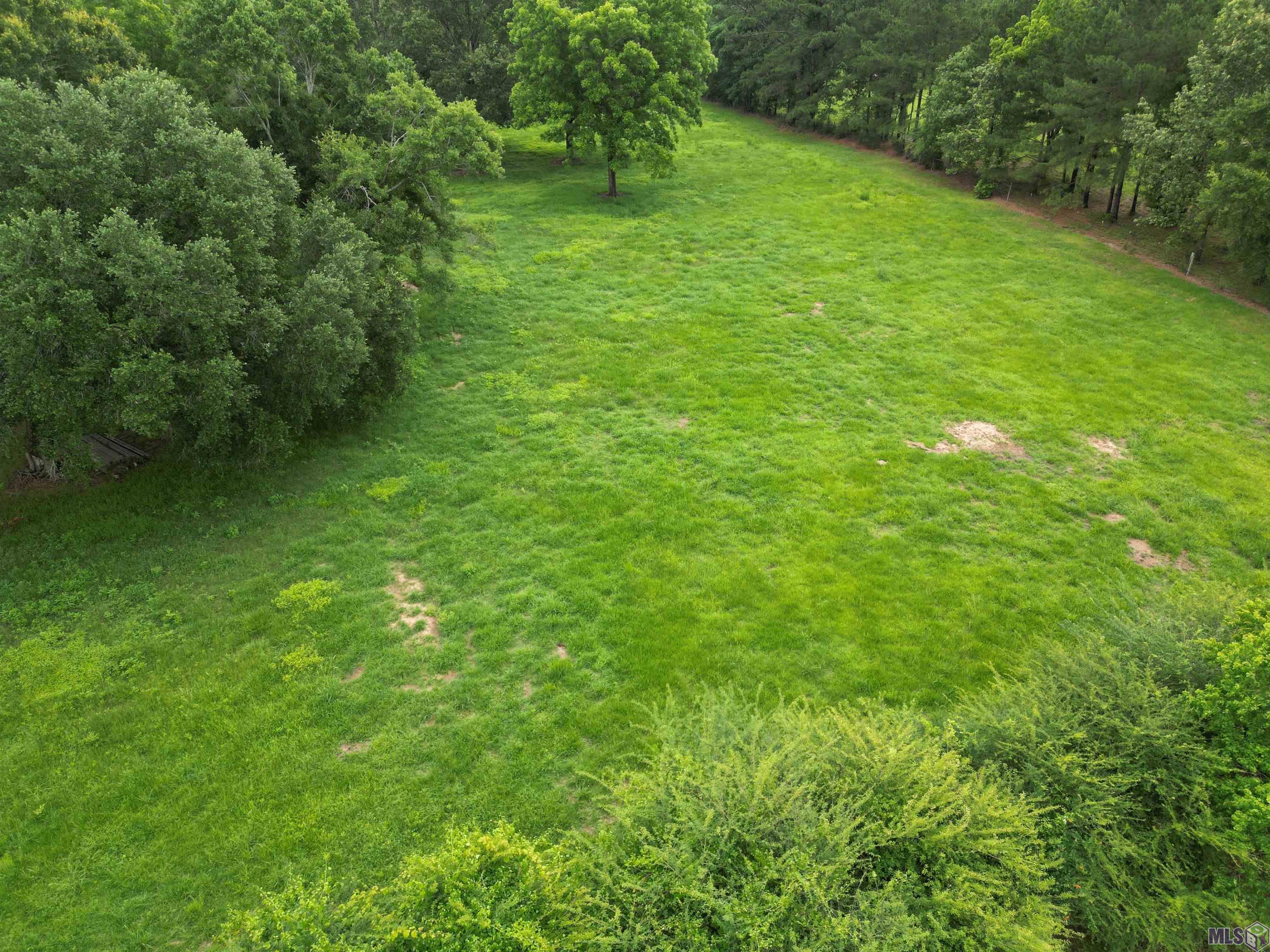 Tbd Megan Road Jackson, LA 70748 - Photo 12 of 17