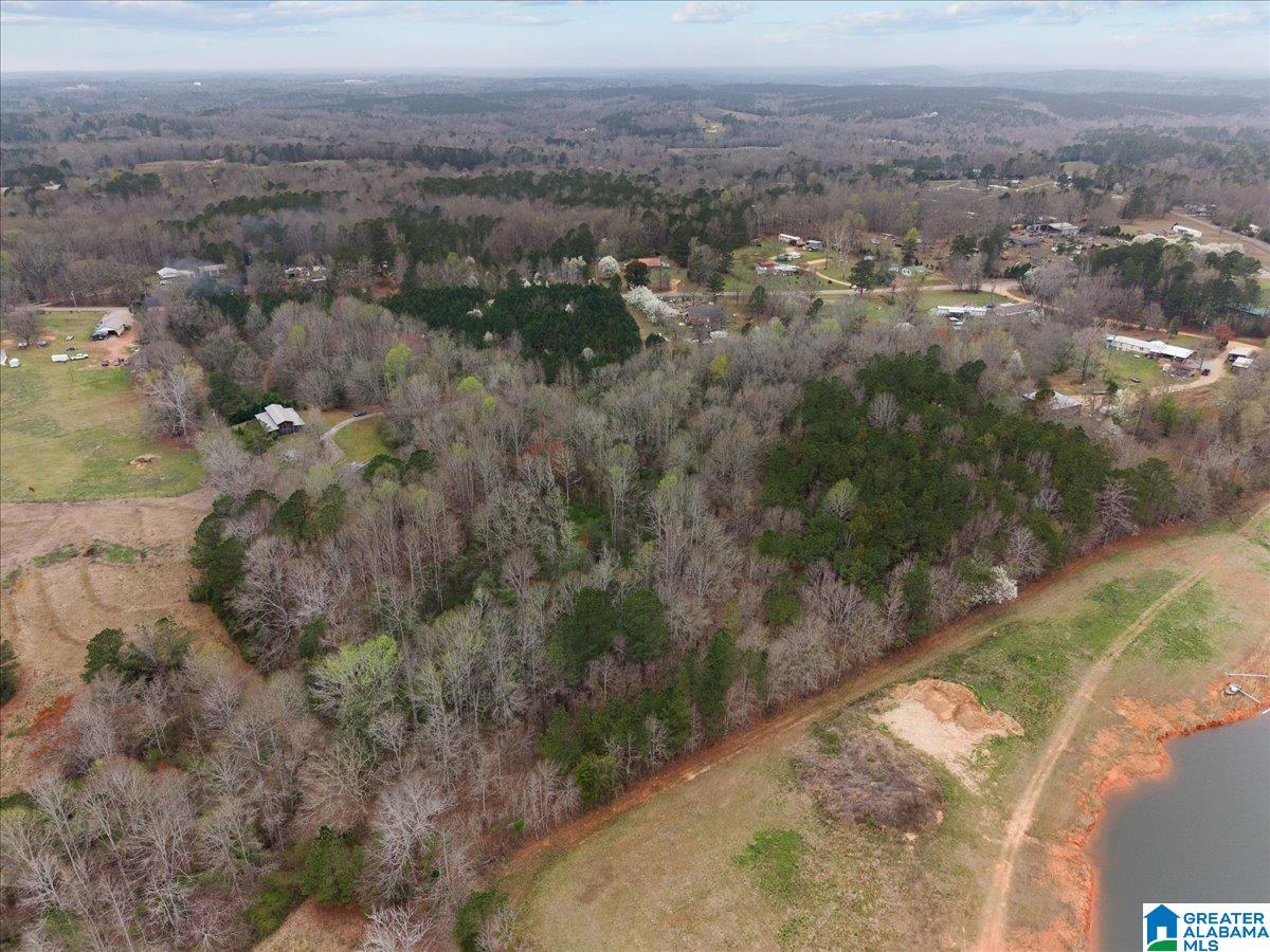 3280 County Road 32 Clanton, AL 35046 - Photo 53 of 54