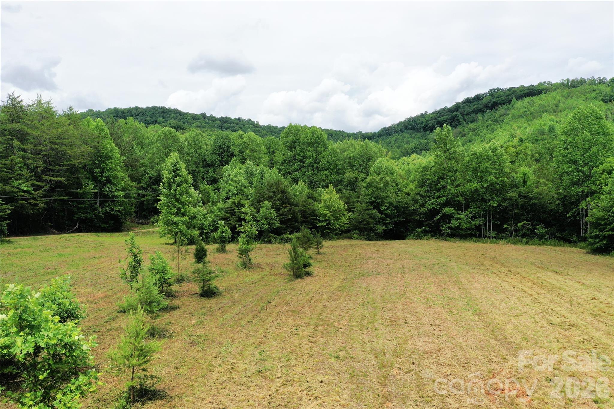 0 Club House Road Lake Lure, NC 28746 - Photo 4 of 20 a view of outdoor space and yard