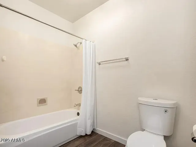 a bathroom with a toilet and a bathtub