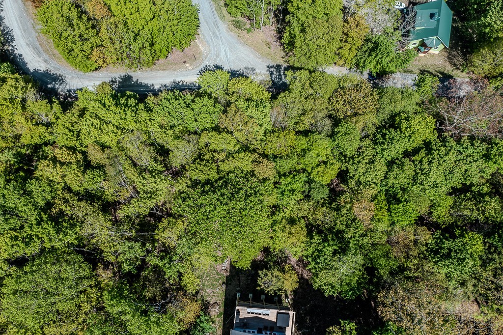241 Lakeledge Road Beech Mountain, NC 28604 - Photo 14 of 21 an aerial view of a house with a yard