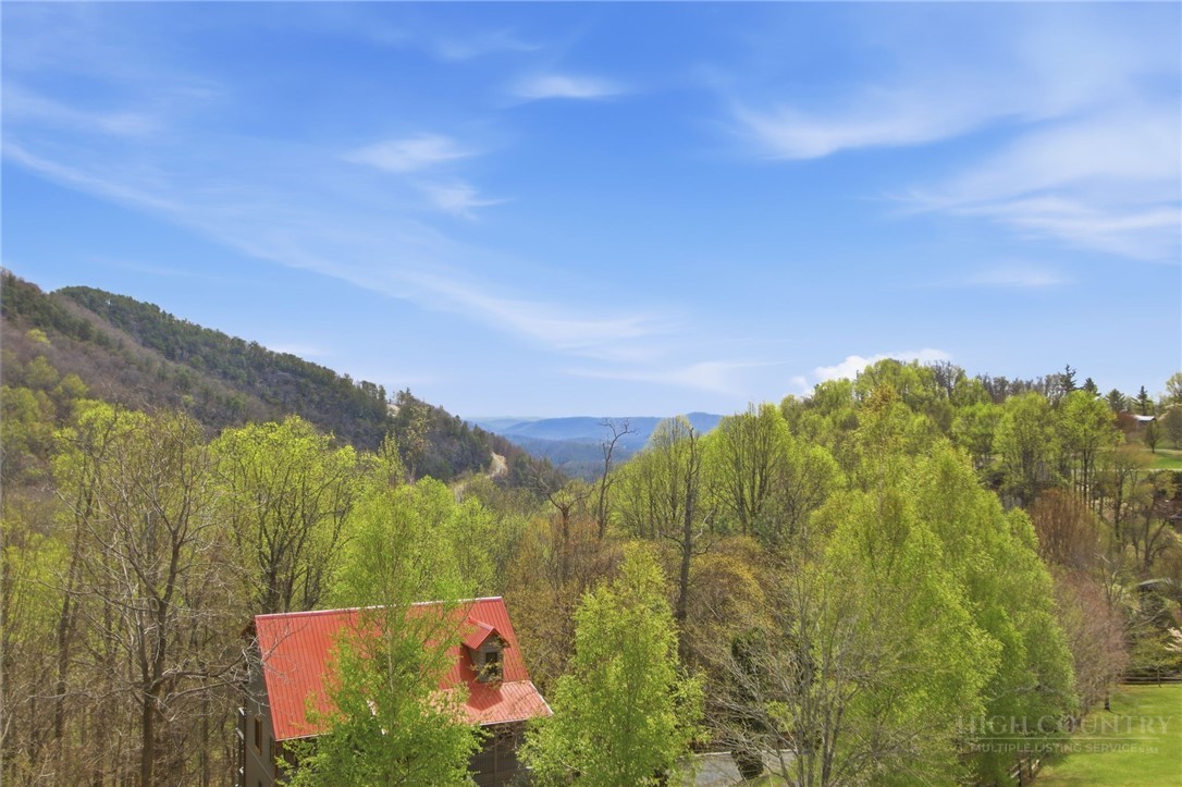 2081 Blackberry Road Boone, NC 28607 - Photo 5 of 45 a view of an outdoor space and mountains