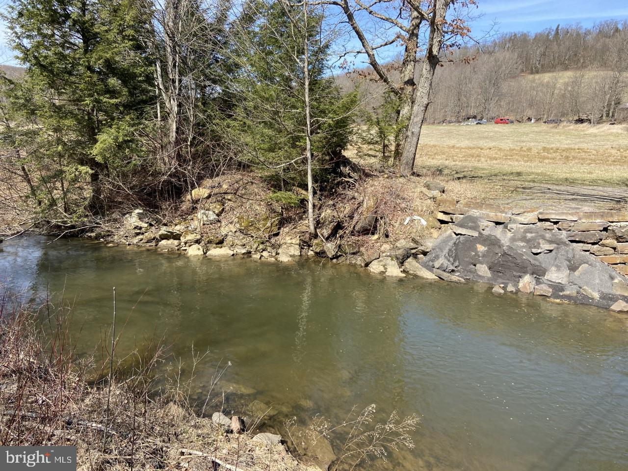 Dunghill Road Grantsville, MD 21536 - Photo 1 of 16 View of Castleman