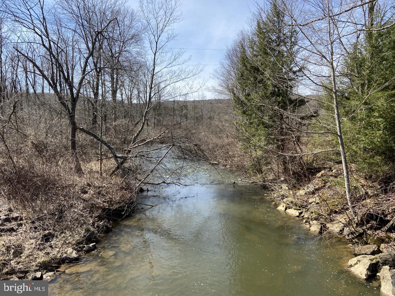 Dunghill Road Grantsville, MD 21536 - Photo 4 of 16 Good fishing spot!