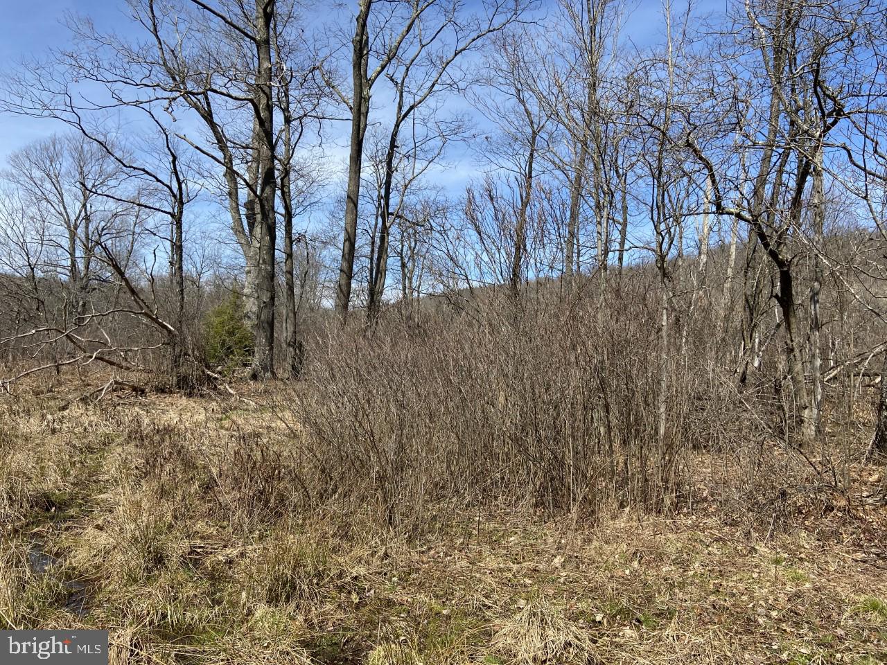 Dunghill Road Grantsville, MD 21536 - Photo 5 of 16 Gallery Image 5
