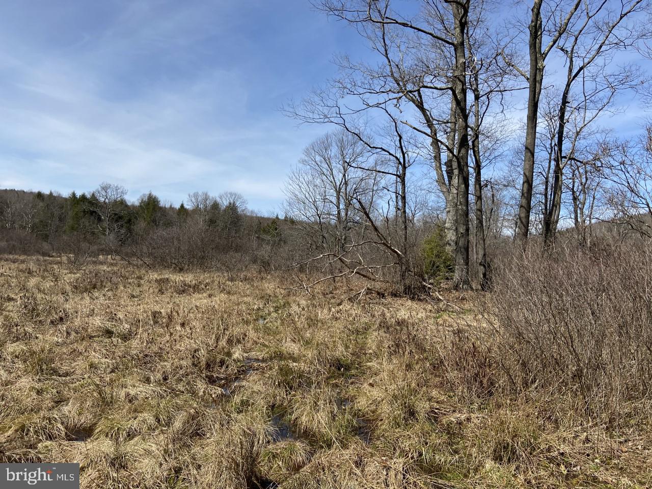 Dunghill Road Grantsville, MD 21536 - Photo 6 of 16 Gallery Image 6