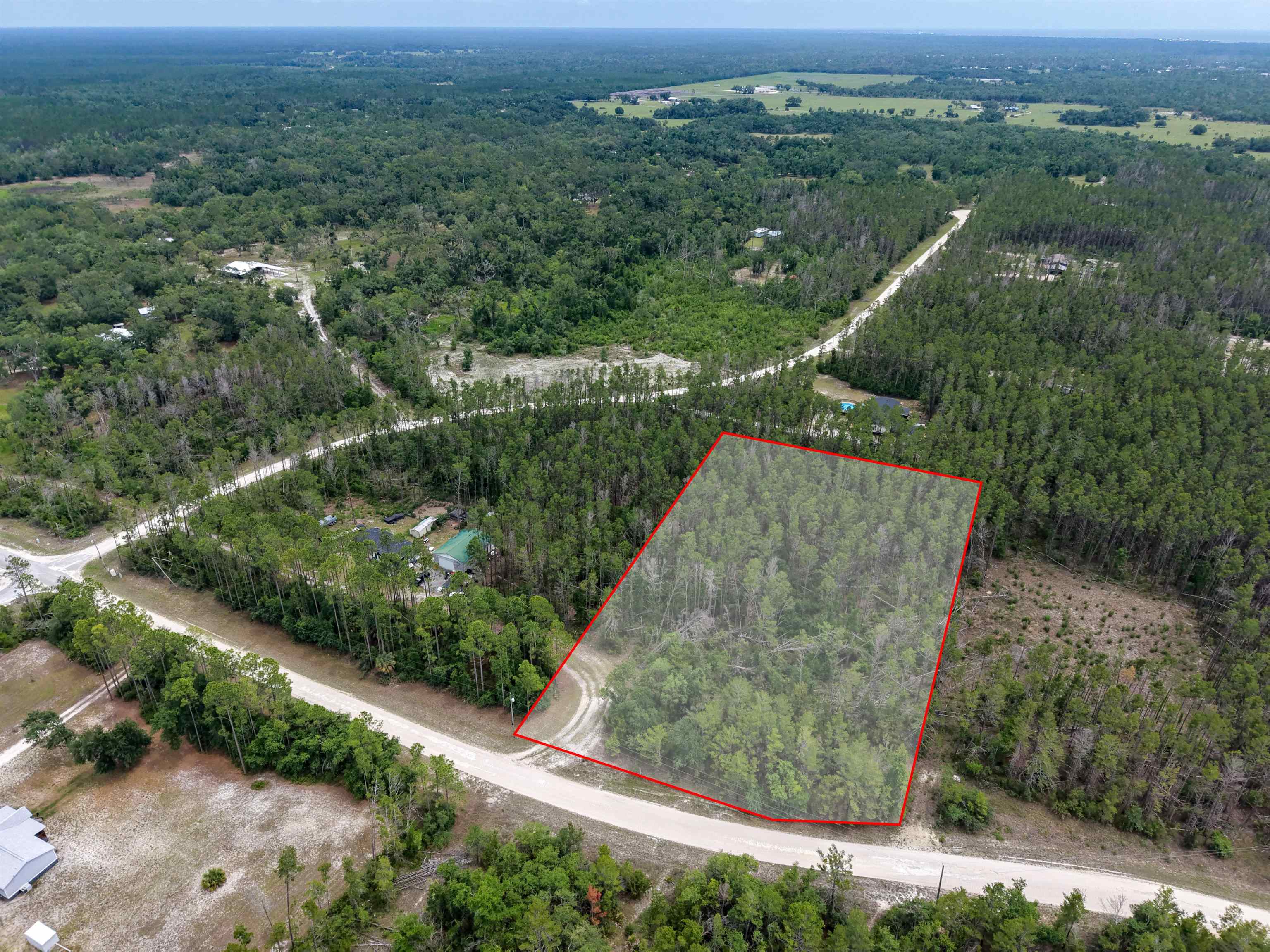 Tbd Ocean Pond Road Perry, FL 32348 - Photo 14 of 21