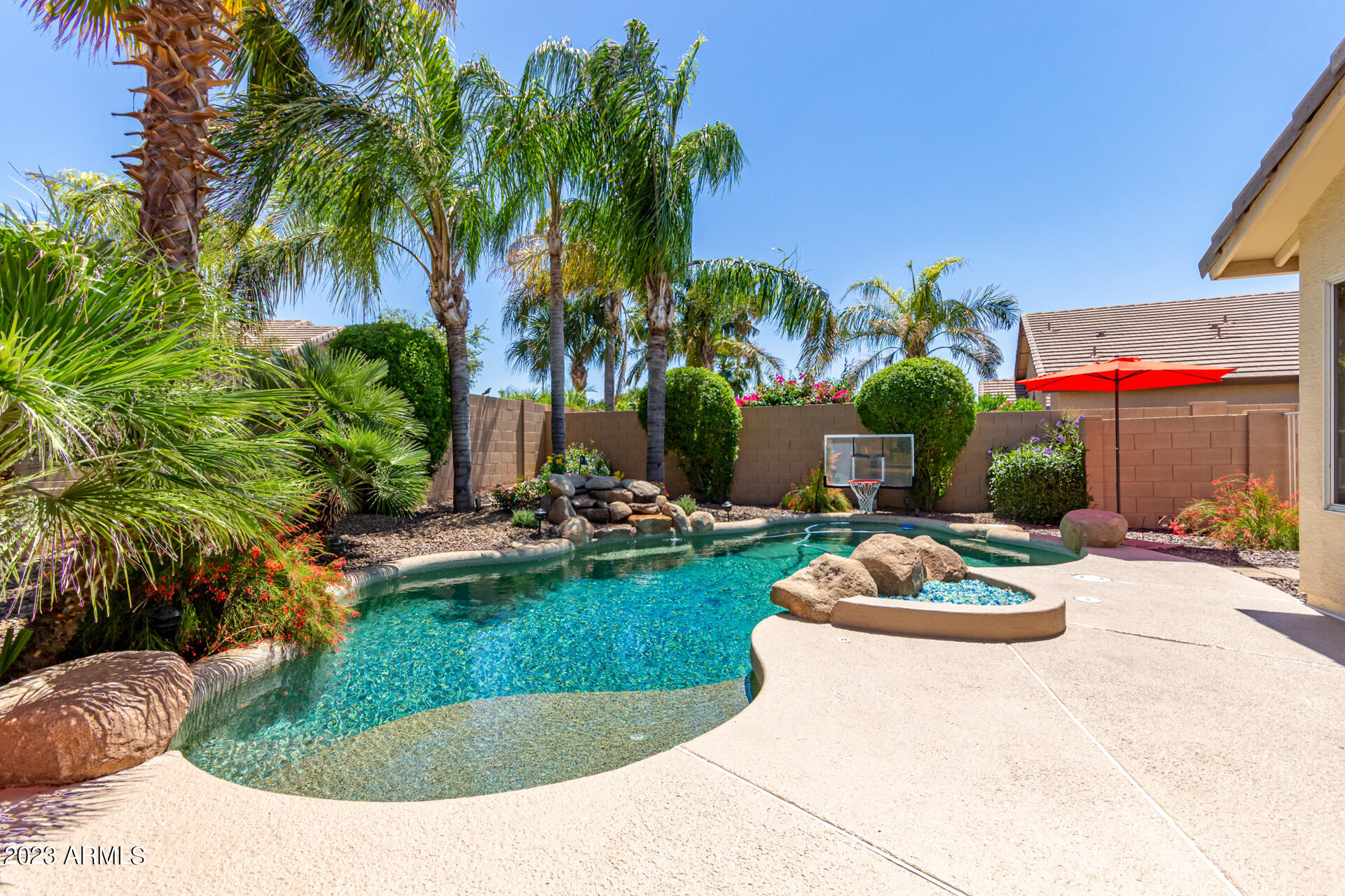 2065 South Marble Street Gilbert, AZ 85295 - Photo 32 of 59 a view of a backyard with plants and palm tree