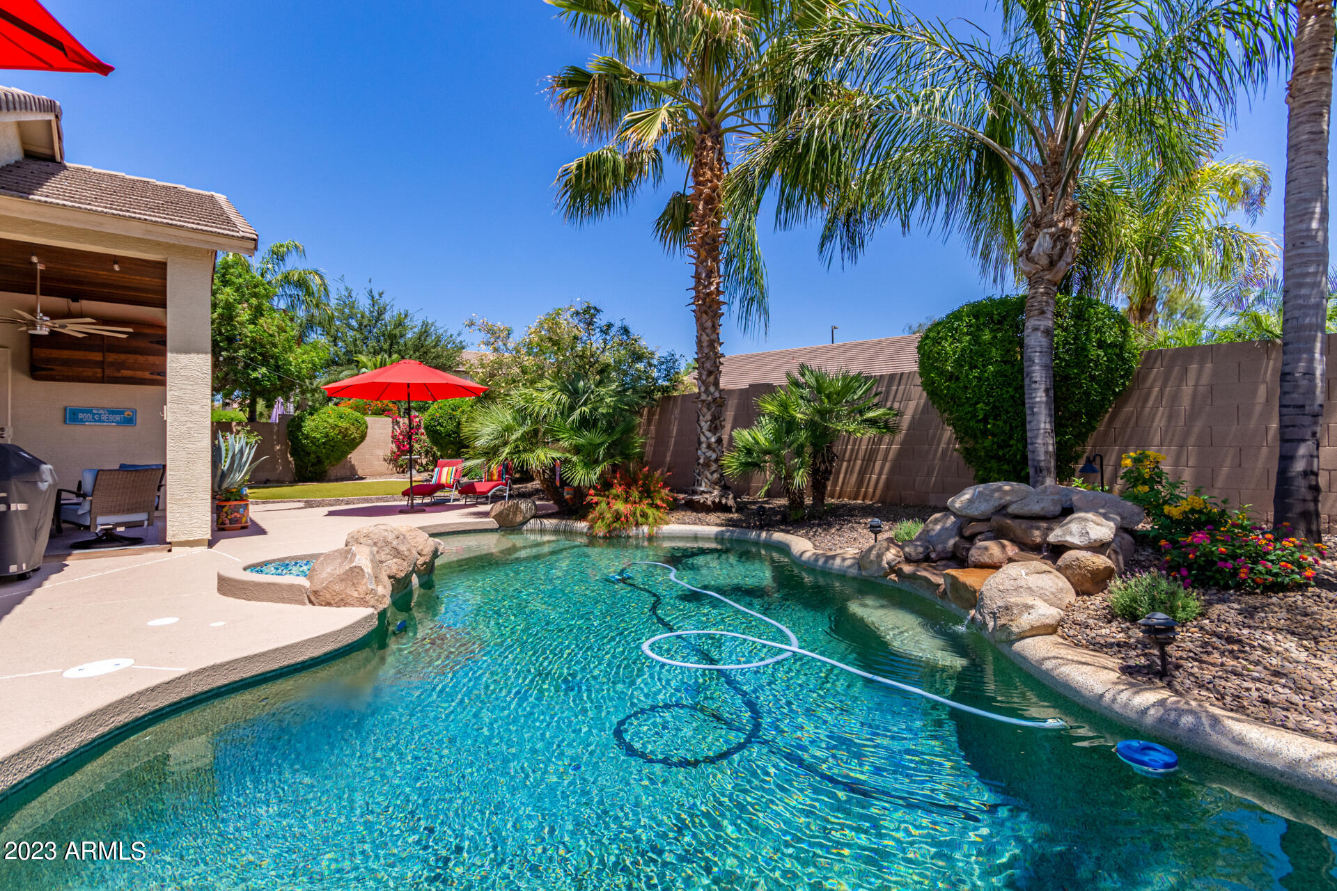 2065 South Marble Street Gilbert, AZ 85295 - Photo 39 of 59 a view of a backyard with plants and a patio