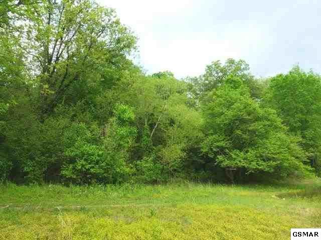 12 Ernie Roberts Road Rutledge, TN 37861 - Photo 14 of 32 Gallery Image 14