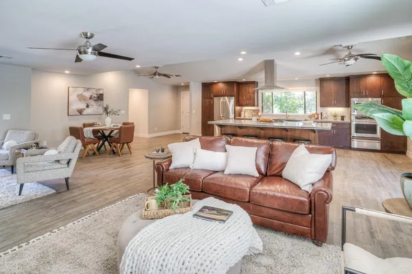a living room with furniture and a potted plant