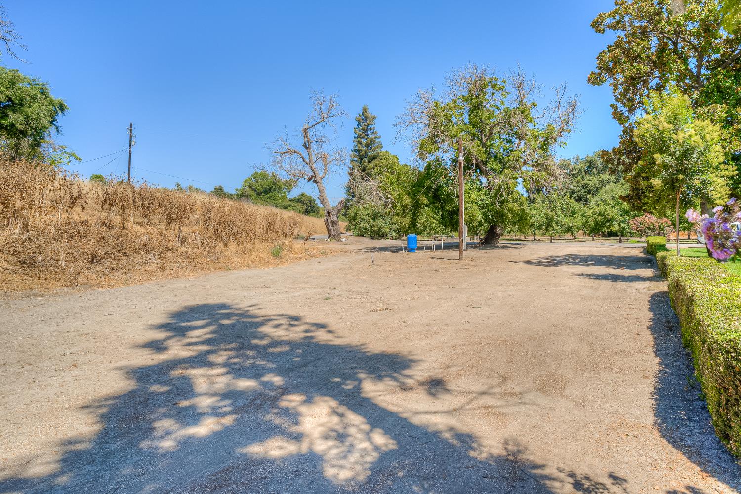 800 South Meridian Road Meridian, CA 95957 - Photo 63 of 81 a backyard of a house with lots of green space