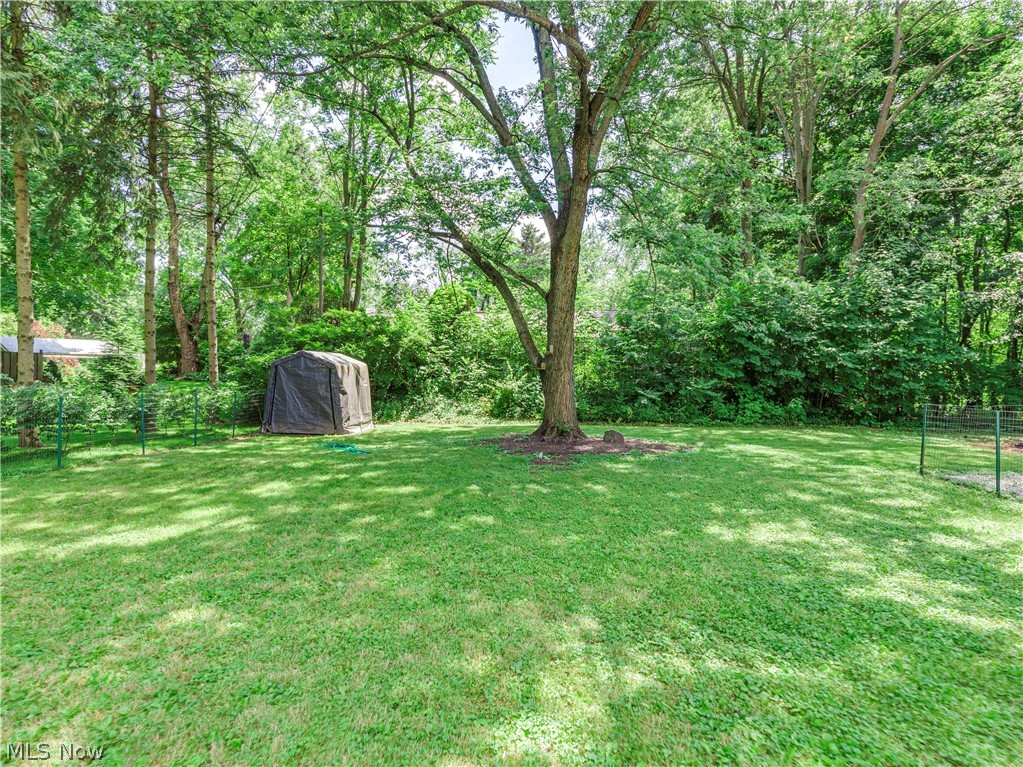 1192 Abington Road Akron, OH 44312 - Photo 5 of 24 Fenced in private backyard, wonderful for enjoying nature