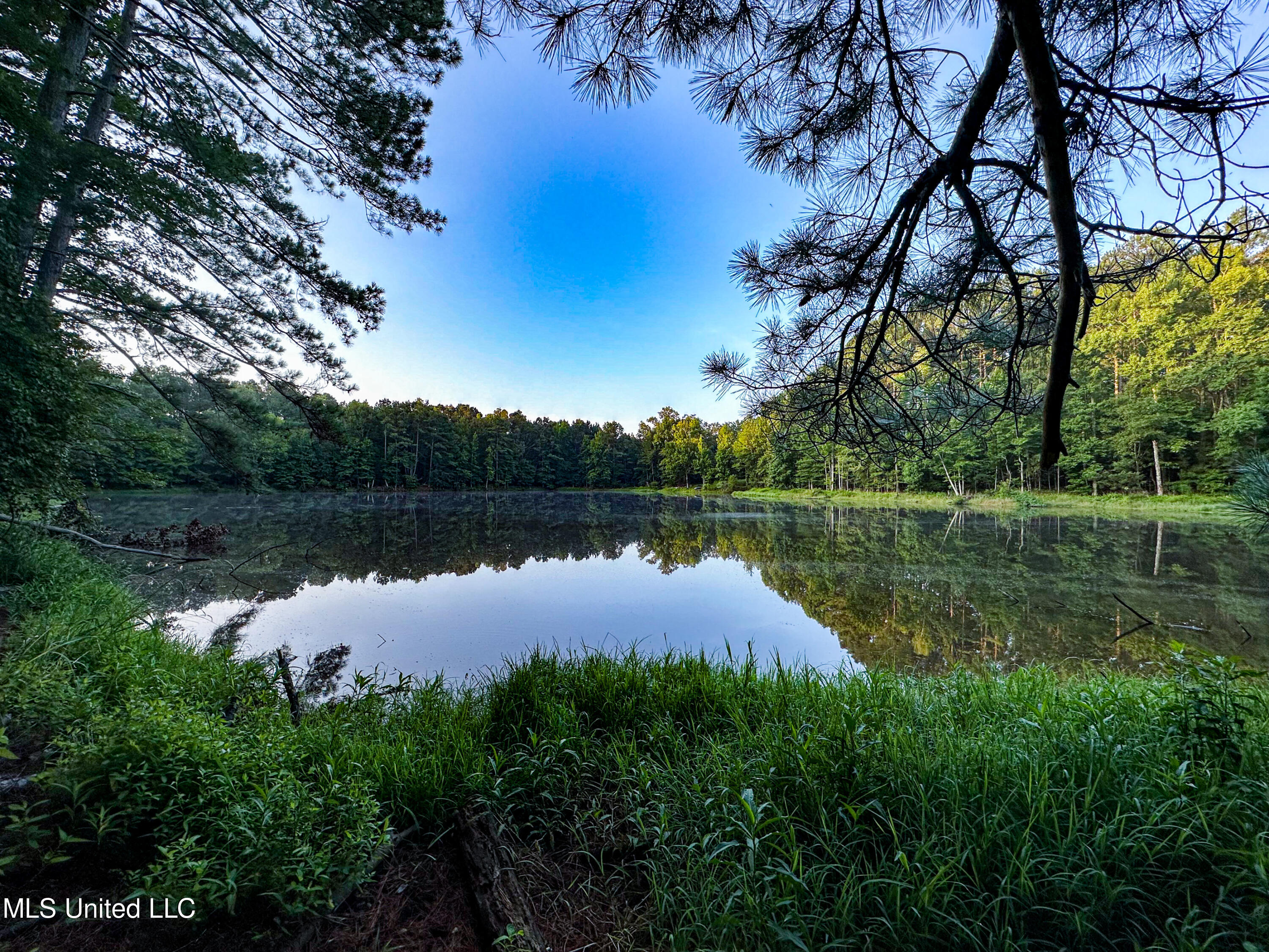 4 Canyon Ridge Flora, MS 39071 - Photo 1 of 7 IMG-3340