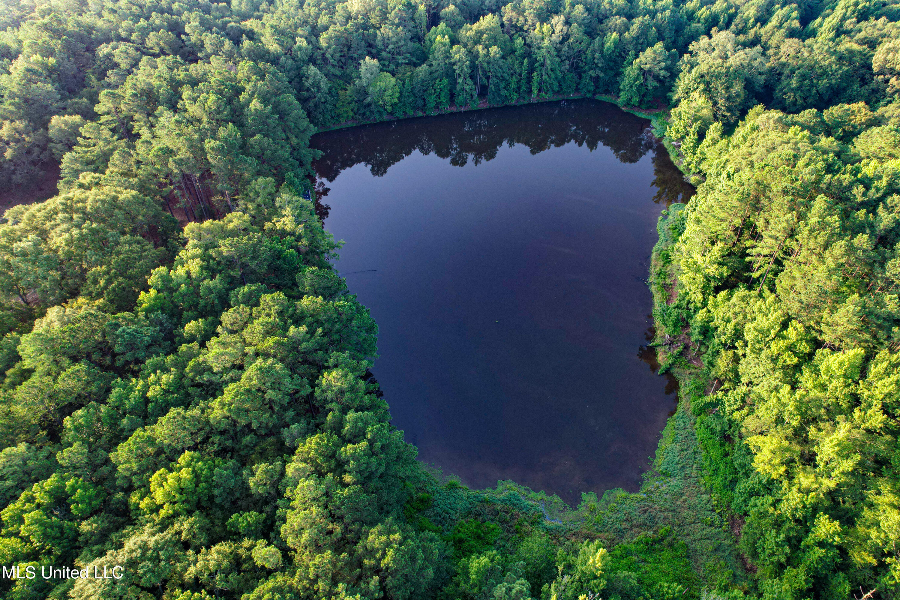 4 Canyon Ridge Flora, MS 39071 - Photo 5 of 7 DJI_0717
