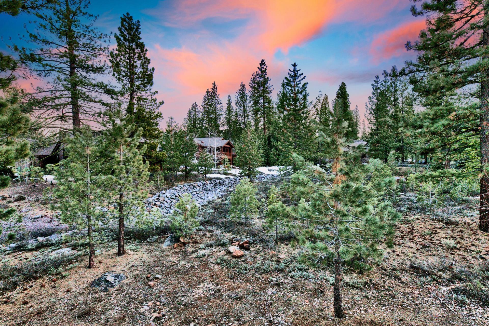 10239 Valmont Trail Truckee, CA 96161 - Photo 2 of 21 a view of a forest with trees in the background